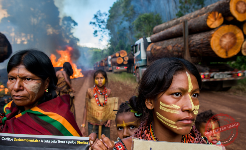 A Amazônia em Crise: Um Grito por Ação e Conscientização