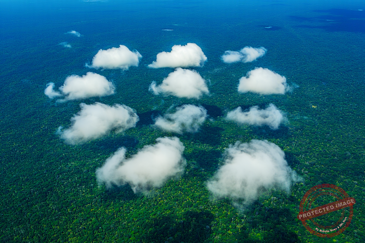Rios Voadores da Amazônia: Os Gigantes Invisíveis que Sustentam a Vida no Brasil