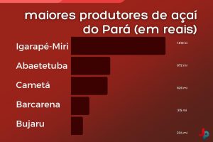 maiores produtores de açaí do Pa