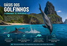 A Ilha dos Golfinhos-Rotadores – Fernando de Noronha – Lawrence Wahba