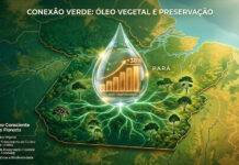 🧴 O Segredo do Pitiú: Como a perfumaria ancestral da Amazônia virou tendência de luxo internacional