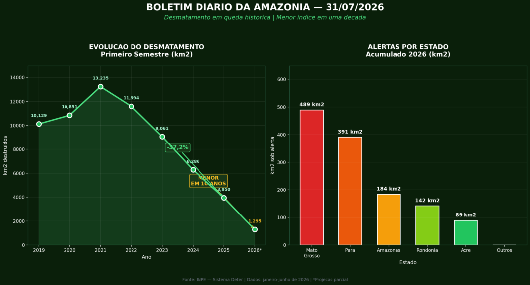 boletim_amazonia_grafico
