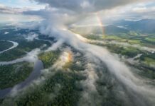 A Rota Invisível das Águas: Como os Rios Voadores da Amazônia Sustentam a Vida e a Economia do Continente